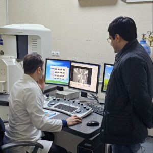 تشخیص سنگ با میکروسکوپ الکترونی